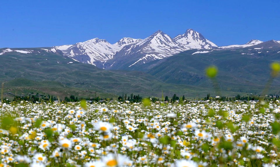 Mount Aragats