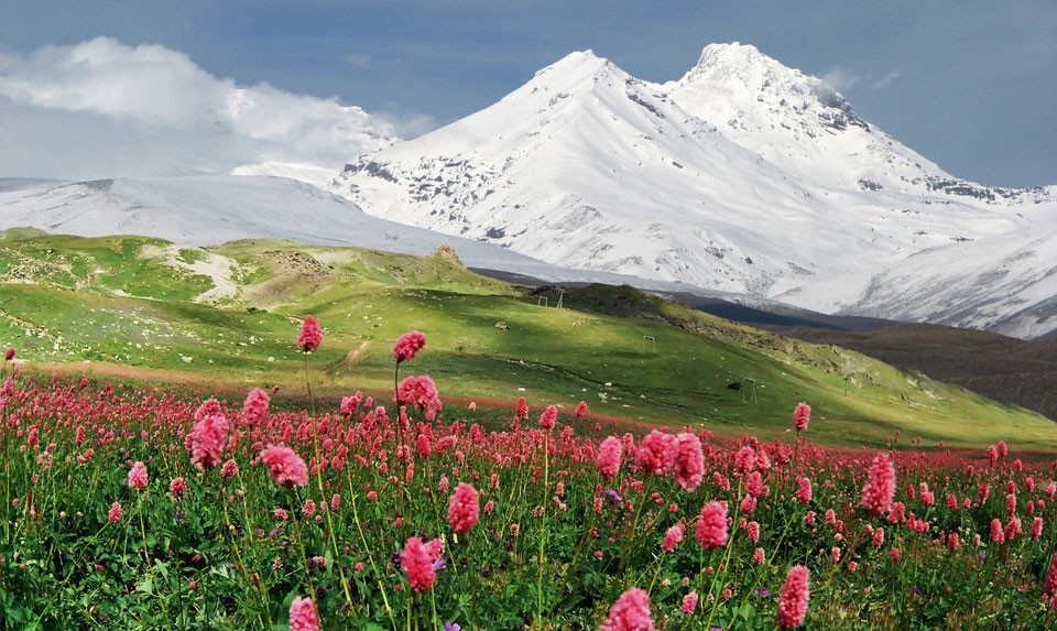 Armenian Nature