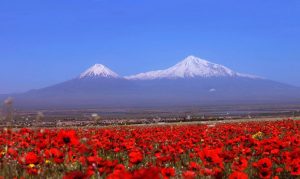 Armenian Nature