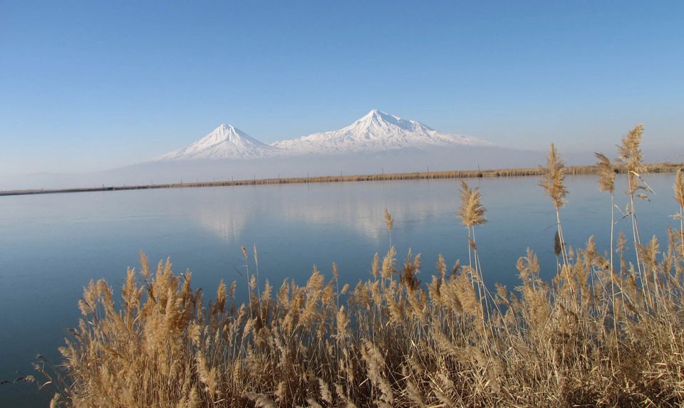 White Storks In Armenia