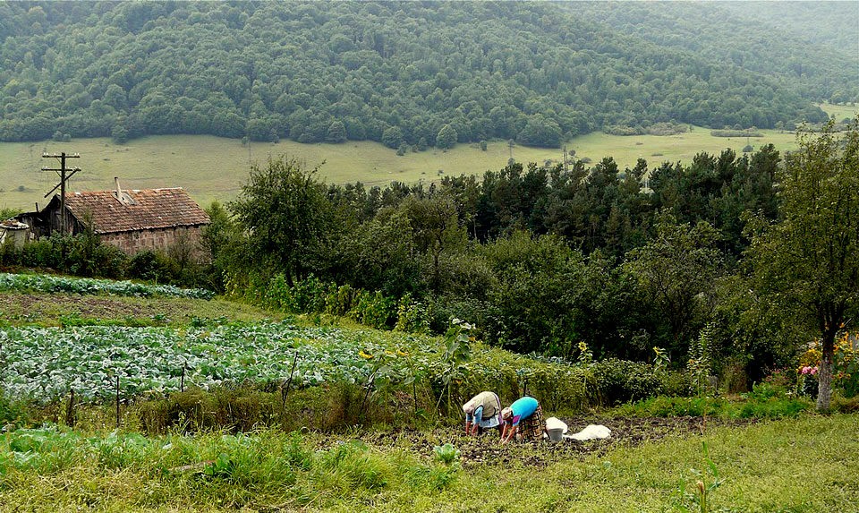 Молокане в Армении