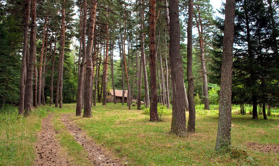 Stepanavan Dendropark